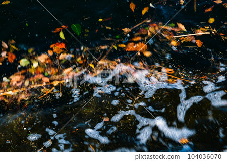 日常景觀 104036070