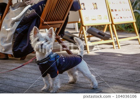 Everyday landscape Everyday landscape 104036106