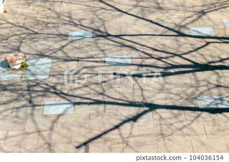 日常景觀 104036154