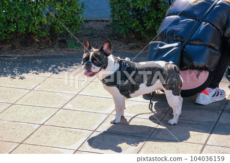 Everyday landscape Everyday landscape 104036159