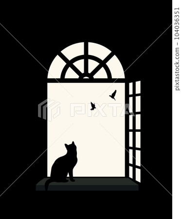 Indoor cat by the window Indoor cat by the window 104036351