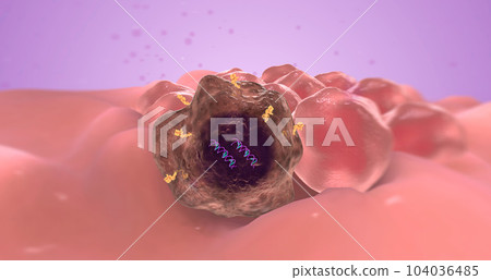 The abnormal gene is known as an oncogene because it causes tumor growth. 104036485