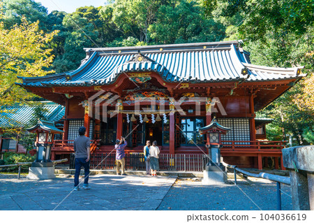 伊豆山神社,秋天的陽光穿過樹木 2,靜岡縣熱海市 伊豆山神社,秋天的陽光穿過樹木 2,靜岡縣熱海市 104036619