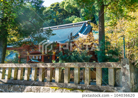 伊豆山神社,秋天的陽光穿過樹木 3,靜岡縣熱海市 伊豆山神社,秋天的陽光穿過樹木 3,靜岡縣熱海市 104036620