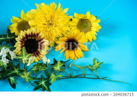 夏天的向日葵 104036715