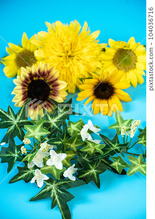 夏天的向日葵 104036716