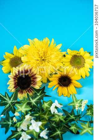 夏天的向日葵 104036717