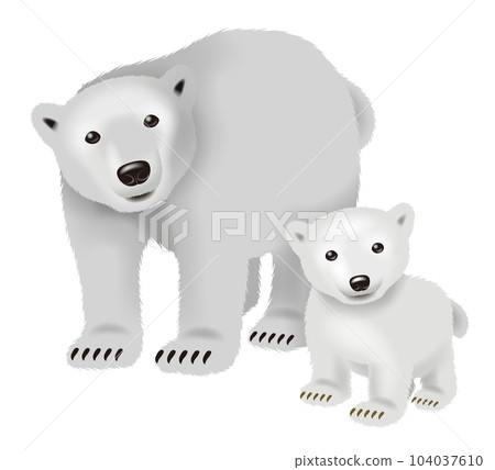 Polar bear illustration 104037610
