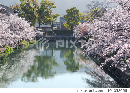 Kyoto Okazaki Cherry blossoms of Lake Biwa Canal viewed from Tokunari Bridge 104038666