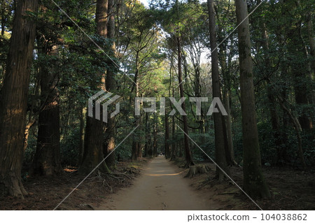 Kanto's leading power spot, Kashima Shrine 104038862