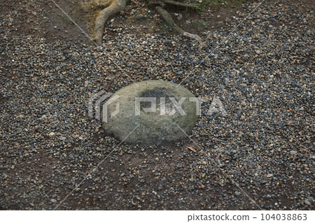 Kanto's leading power spot, Kashima Shrine 104038863