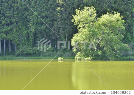 [奈良縣宇田市]龍淵 104039262
