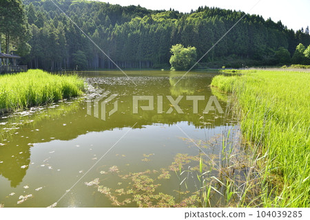 [Uda City, Nara Prefecture] Ryuohbuchi 104039285