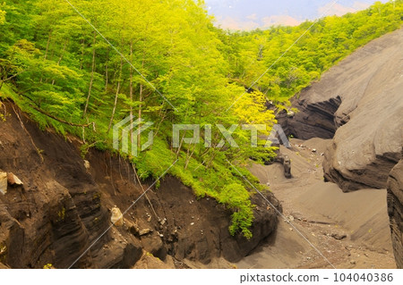 日本大峽谷富士山 日本大峽谷富士山 104040386
