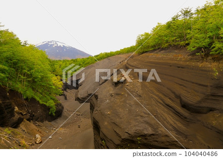 日本大峽谷富士山 104040486