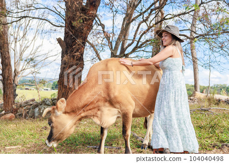 A woman from South America touches a cow on an Australian ranch A woman from South America touches a cow on an Australian ranch 104040498