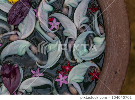 金銀花 金銀花 104040701
