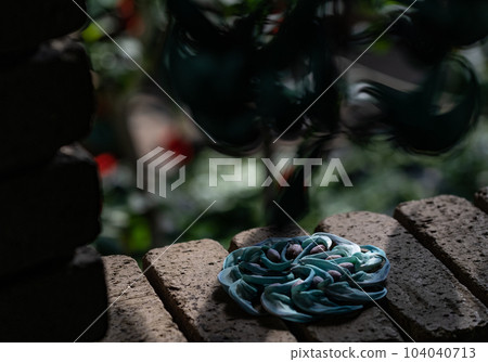 金銀花 金銀花 104040713