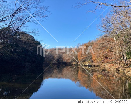 Lake Shinsei where autumn leaves are reflected on the surface of the water Lake Shinsei where autumn leaves are reflected on the surface of the water 104040921