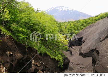 Japanese Grand Canyon Mt.Fuji Japanese Grand Canyon Mt.Fuji 104041031