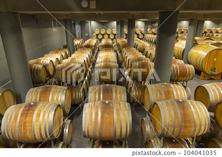 wine cellar full of wooden barrels in Barolo, Piedmont, Italy 104041035
