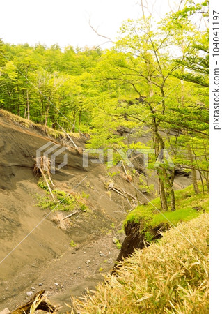 日本大峽谷富士山 104041197