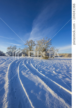 Landscape near Hnanice, NP Podyji, Southern Moravia, Czech Republic 104041366