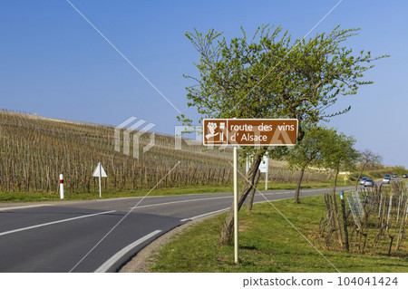 Wine road near Colmar, Alsace, France 104041424