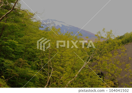 Japanese version Grand Canyon Mount Fuji Japanese version Grand Canyon Mount Fuji 104041502