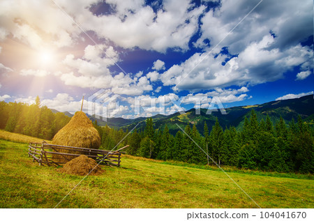Summer mountain landscape 104041670