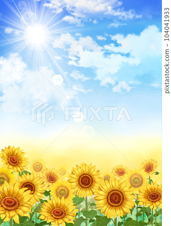 Sunflower field, blue sky and sun Sunflower field, blue sky and sun 104041933