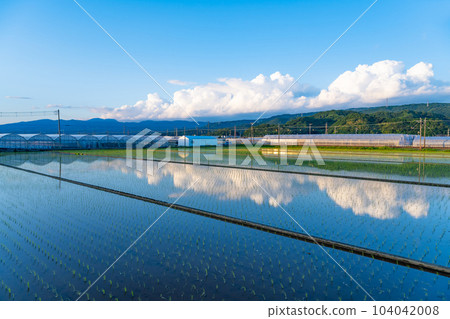 黃昏的田園風光（倒影） 104042008