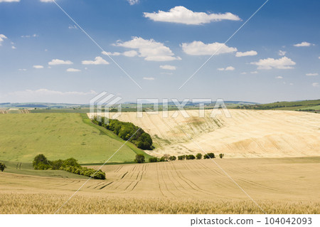 landscape called Moravian Tuscany, Southern Moravia, Czech Republic landscape called Moravian Tuscany, Southern Moravia, Czech Republic 104042093