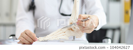 Orthopedic doctor explains physiology of bone model by pointing to point of model 104042627