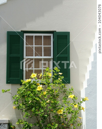 Green shutters 104043076