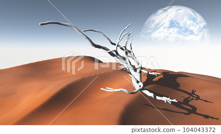 Red sand desert Red sand desert 104043372