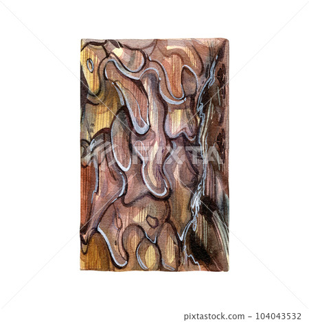 Realistic wood texture bark isolated on white background. Watercolor hand drawing detailed illustration. Art for design 104043532