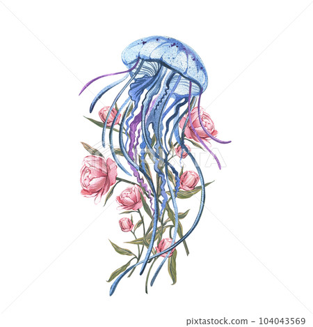 Blue Jellyfish, pink peony flowers, bud isolated on white background. Watercolor hand drawn illustration. Art for design Blue Jellyfish, pink peony flowers, bud isolated on white background. Watercolor hand drawn illustration. Art for design 104043569