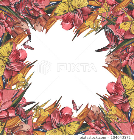 Frame butterfly, red flower, strelitzia isolated on white. Watercolor hand drawn botanical illustration. Art for design 104043571