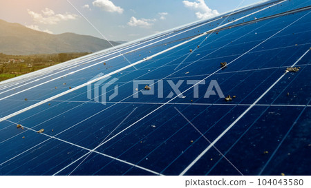 Photovoltaic panel installed for the long periods becomes dirty which caused by bird droppings, concept of utilizing technology to obtain power from the nature for human lives 104043580