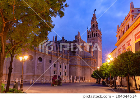 Giralda and Seville Cathedral at night, Spain 104044514