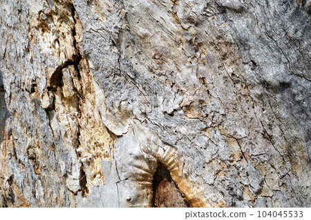 Texture of an old wood wall as a background. Texture of an old wood wall as a background. 104045533