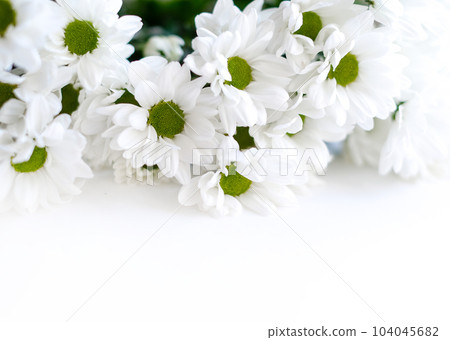 Flowers composition. Frame made of white flowers chrysanthemums on white background. Valentines day, mothers day and womens day concept 104045682