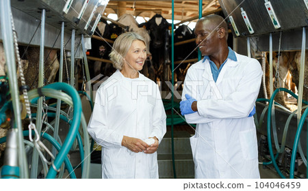 Two farm milkmaids male and female standing near modern cow milking machines Two farm milkmaids male and female standing near modern cow milking machines 104046459