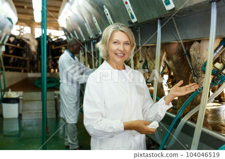 Woman working at milking line Woman working at milking line 104046519