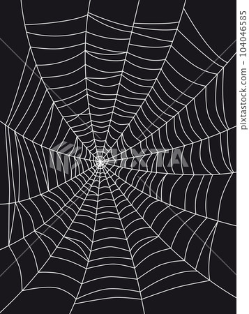 Spider web drawing on a black background 104046585