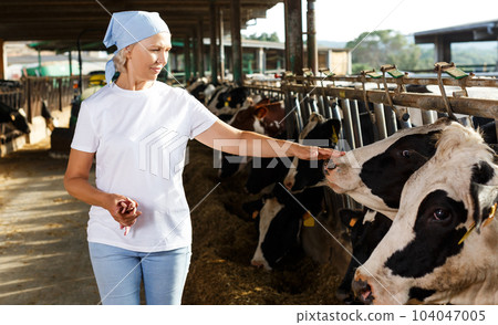 female farmer posing in cowshed 104047005