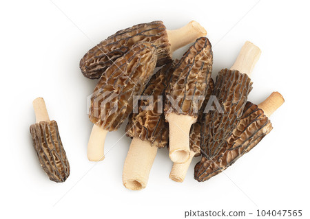 raw morel mushroom isolated on white background with full depth of field. Top view. Flat lay. 104047565