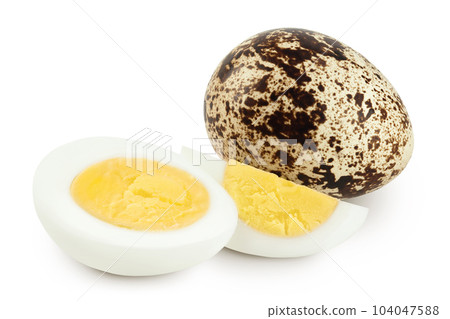 boiled quail egg isolated on white background with full depth of field 104047588