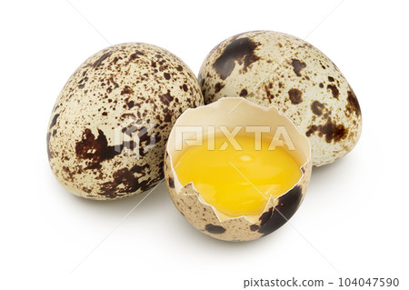Raw quail egg isolated on white background with full depth of field Raw quail egg isolated on white background with full depth of field 104047590